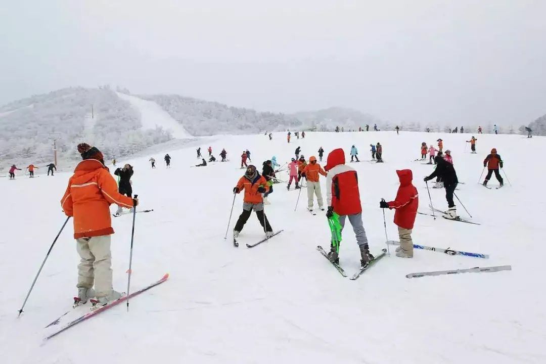 國際滑雪場1